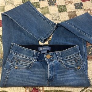 Democracy Skinny Jeans in Faded Mid Blue Wash